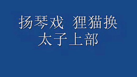 扬琴戏《狸猫换太子上部》《坠剧》