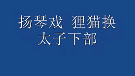 扬琴戏《狸猫换太子》下部