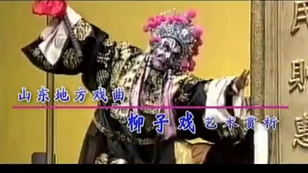 中华戏曲荟萃100 山东地方戏曲 柳子戏艺术