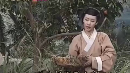 楊麗花歌仔戲《君臣情深》攀摘不盡野果樹