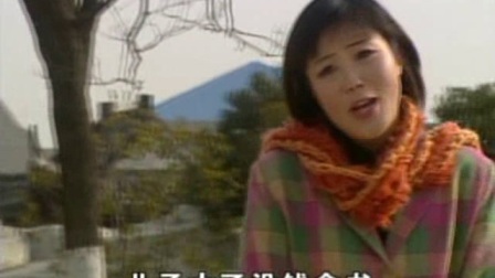 庐剧《合肥一家人》3 汪国文下载