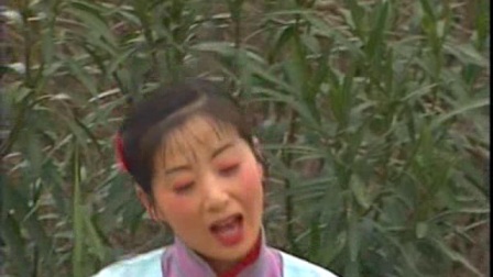 庐剧《不添孙子不罢休》预告版  等下载