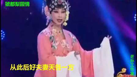 蒲剧名家武俊英高徒《西厢人去心悲怆》一鸣惊人下载
