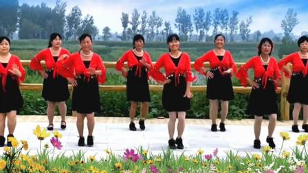 河北青青广场舞《中国歌最美》48步团队版下载