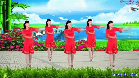 河北青青广场舞《妈妈的吻》附背面演示下载