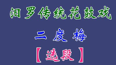 汨罗花鼓戏《二度梅》之《书房失簪》