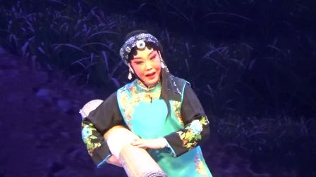 曲剧 张桂红《卷席筒续集》选段