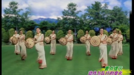 杨艺广场舞《大地飞歌队形演示1》下载