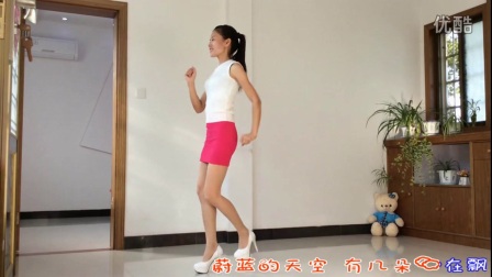 新生代广场舞《因为爱着你》步子舞下载