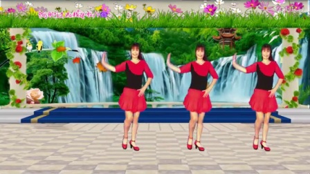 玲玲广场舞广场舞dj《你的过去我不介意》正