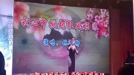 黄梅戏《风尘女画家》选段 我心中掀起了狂