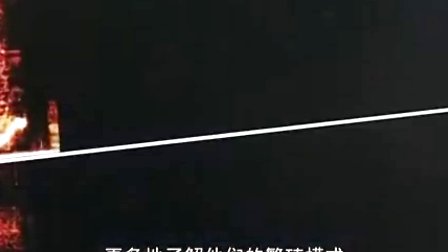 TOP15荒野求生 (一)下载