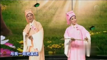 庐剧《梁祝》十八相送 黄梅戏名家周珊 郁柳演唱下载