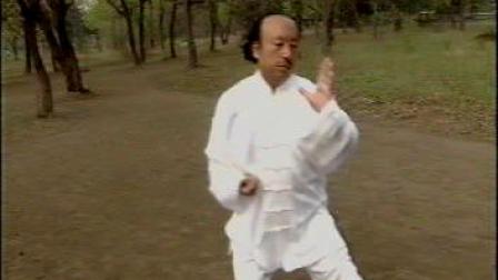 太极《拳剑推手》李本仁老师下载
