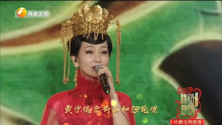 歌曲《问情》赵雅芝下载