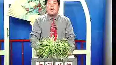 河南坠子《十把穿金扇》全集