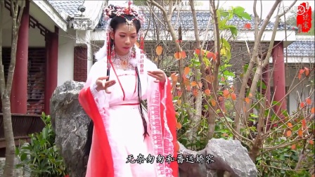 歌仔戏《四季美人》正片超清