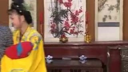 庐剧《儿不嫌母丑》碟片版 1