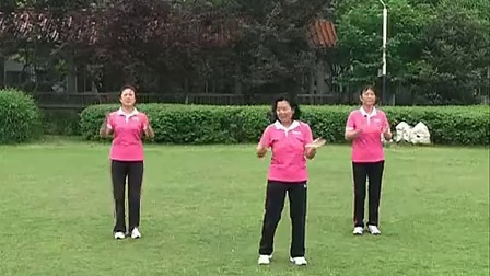 中老年经络健身操 教学版