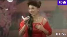 《寡妇和光棍搞对象》《观花》二人转皇后 