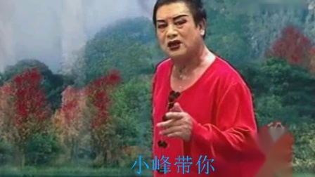 《双锁山·见面》小豆豆二人转 男演员字正
