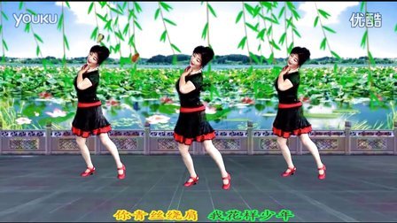最新吕芳广场舞《不怨情深奈何缘浅》正背面 及分解动作下载