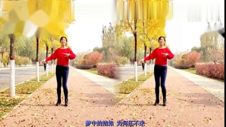 阿采广场舞原创《玫瑰花开》提跨瘦腰 好听好看还简单下载