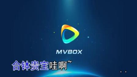 二人转 《白蛇传》 七岁红 陈小飞演唱下载