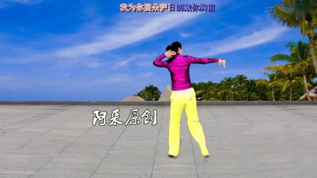 阿采广场舞《最美的草原遇见最美的你》混搭曳步32步 演示和分解动作教学下载