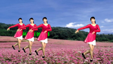 阿采广场舞《荞麦花》优美32步看到你醉 火爆全网快学吧下载