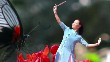 云裳广场舞《酒醉的蝴蝶》入门级大众健身舞 琼芳广场健身队演示下载