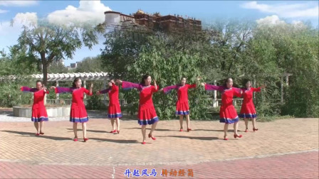 云裳广场舞《我和西藏有个约定》梅子老师原创藏族舞 北京开心舞蹈队版下载
