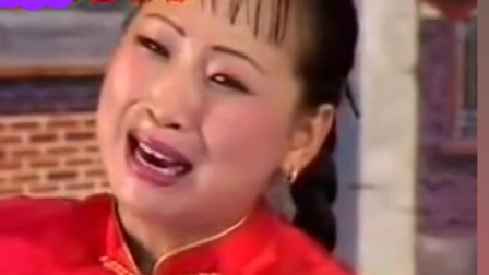 河南坠子《孩子就怕没亲娘》胡中花 名家名段下载