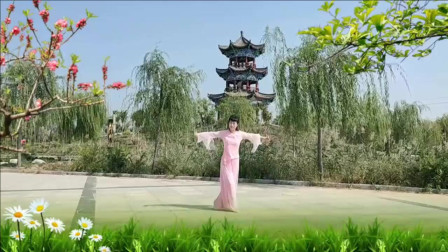 云裳广场舞《忘尘谷》云裳老师原创唯美古典舞 学习广场舞演绎版下载