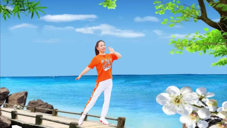 云裳广场舞《野花香》云裳老师原创摆胯舞 梦幻的羽个人版下载