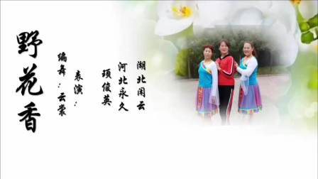 云裳广场舞《野花香》云裳老师原创网红歌曲摆胯舞 三姐妹共舞版下载