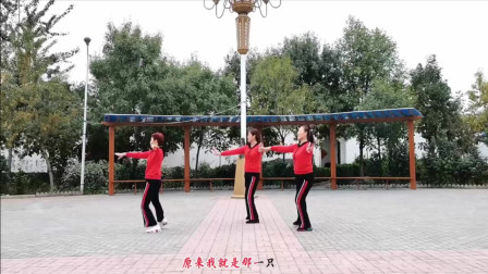 云裳广场舞《酒醉的蝴蝶》云裳老师零基础大众健身舞 三姐妹共舞版下载
