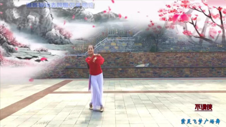 云裳广场舞《不谓侠》沚水老师原创超美古风舞蹈 紫灵飞梦个人版下载