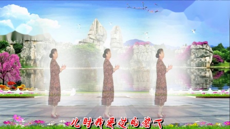 凤之韵 广场舞《红枣树》编舞 惠汝下载