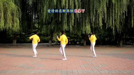 云裳广场舞《樱之花》肖肖老师原创活力健身操附分解下载