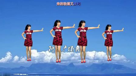 阿采广场舞《酒醉的蝴蝶》网红32步单人水兵舞火爆全网下载