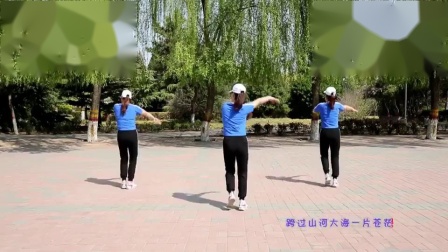 云裳广场舞《都说》背面演示下载