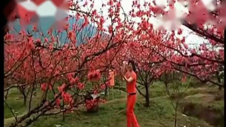 动动广场舞 《新雪山阿佳》下载