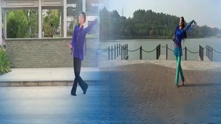 博白廖弟广场舞健身舞系列《青青的青海》 合屏版 教学下载