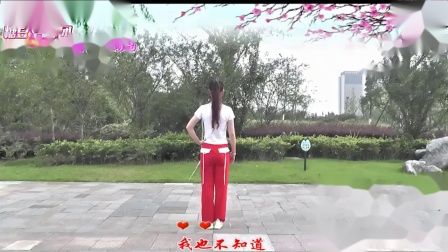 动动广场舞《人在江湖》下载