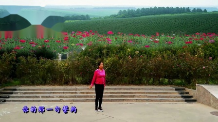 同州冰花广场舞270《酒醉的蝴蝶》编舞张春