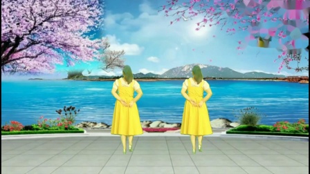 曾经一笑广场舞《手心里的温柔》金灿灿老师编舞下载