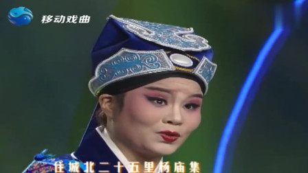 道情《王金豆借粮》选场 罗爱华表演 我家住在河南太康县下载
