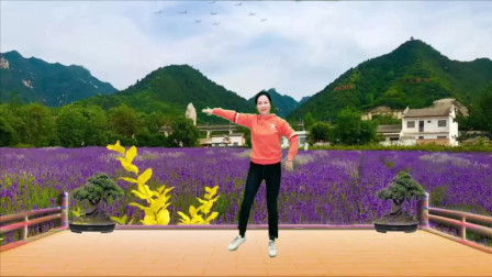 云裳广场舞《情歌美》优美民族风 云裳老师舞蹈演示教学精彩片段欣赏下载