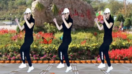 霞子广场舞《多年以后DJ版》鬼步舞53步正反对跳一看就会下载